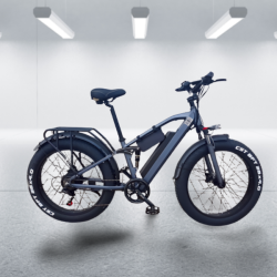 Fatbike E10